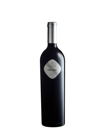 Pinot Noir AOC Valais 2022
