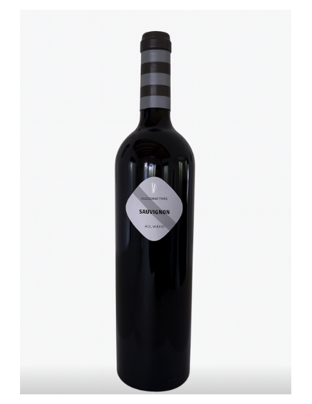 Sauvignon Blanc 2025